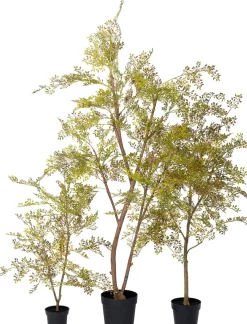 Intratuin kunstplant Moringaboom bruin / groen D 23 H 200 cm
