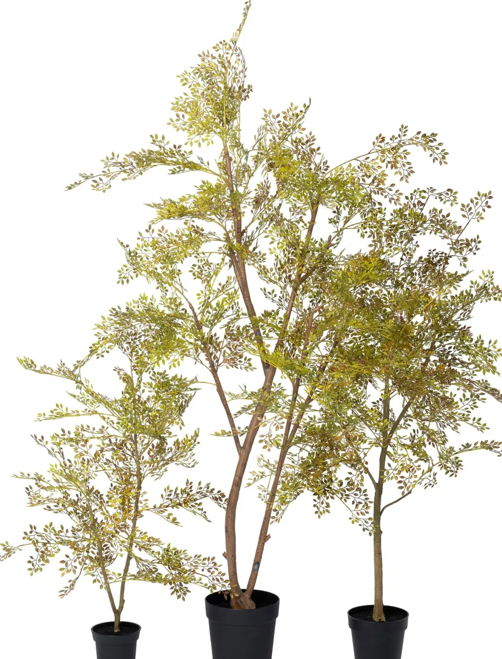 Intratuin kunstplant Moringaboom bruin / groen D 23 H 200 cm