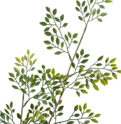 Intratuin kunstplant Moringaboom D 19 H 130 cm