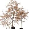 Intratuin kunstplant Moringaboom goud D 15 H 71 cm