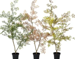 Intratuin kunstplant Moringaboom bruin / groen D 15 H 71 cm
