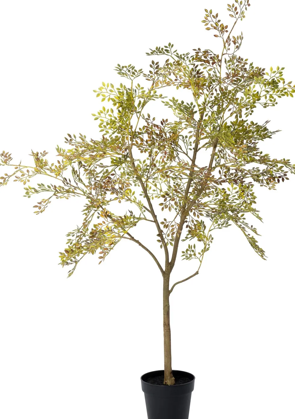 Intratuin kunstplant Moringaboom bruin / goud D 19 H 130 cm