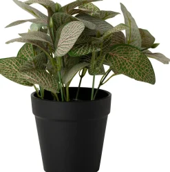 Intratuin kunstplant Mozaïekplant H 19 cm