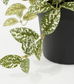 Intratuin kunstplant Mozaïekplant witbont H 16 cm