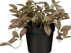 Intratuin kunstplant Mozaïekplant roze H 16 cm