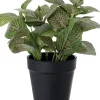 Intratuin kunstplant Mozaïekplant roze / groen H 19 cm