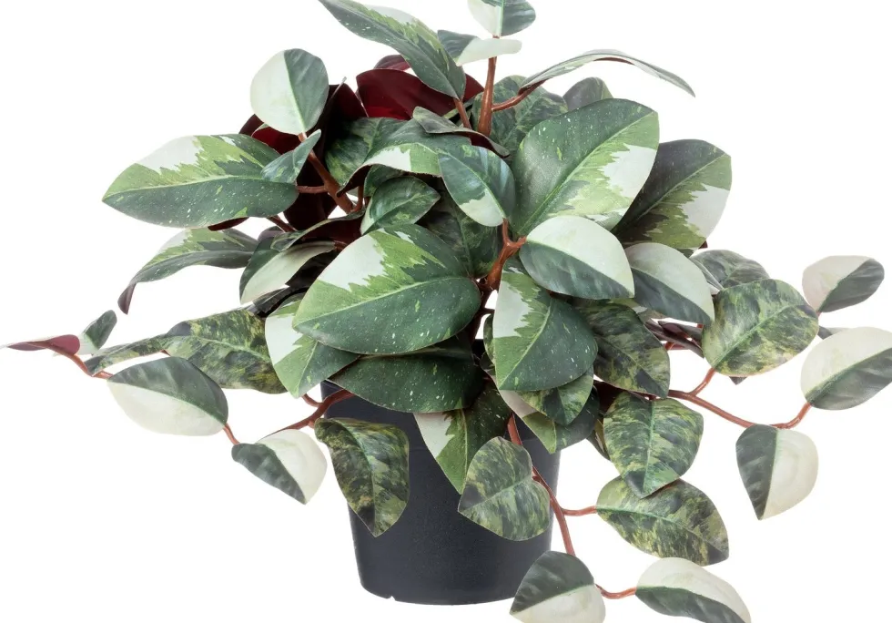 Intratuin kunstplant Mozaiekplantje groen / wit D 9 H 25 cm