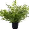 Intratuin kunstplant Nestvaren D 14 H 65 cm