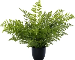 Intratuin kunstplant Nestvaren D 14 H 65 cm