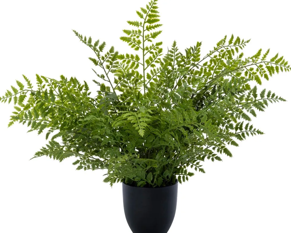 Intratuin kunstplant Nestvaren D 14 H 65 cm