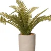 Intratuin kunstplant Nestvaren H 35 cm