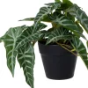 Intratuin kunstplant Olifantsoor D 9 H 17 cm