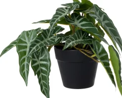 Intratuin kunstplant Olifantsoor D 9 H 17 cm