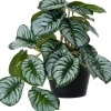 Intratuin kunstplant Olifantsoor grijs / groen D 9 H 17 cm