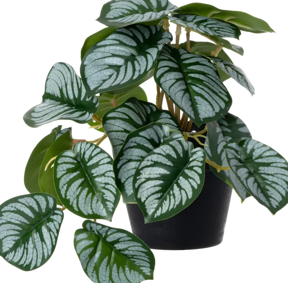 Intratuin kunstplant Olifantsoor grijs / groen D 9 H 17 cm
