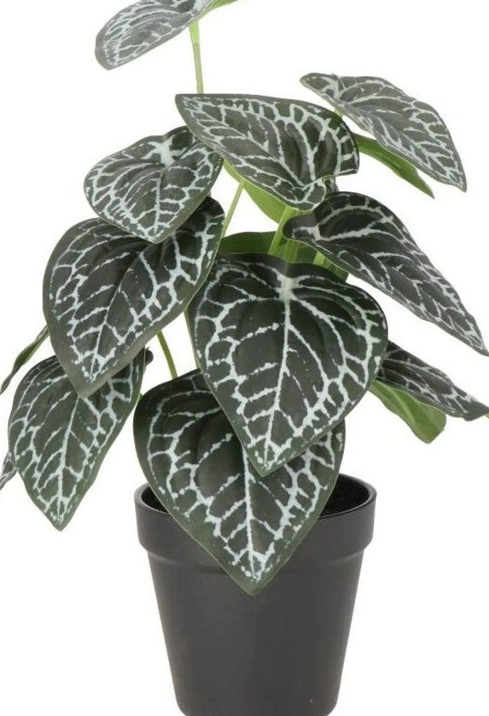 Intratuin kunstplant Olifantsoor groen / grijs D 11 H 30 cm
