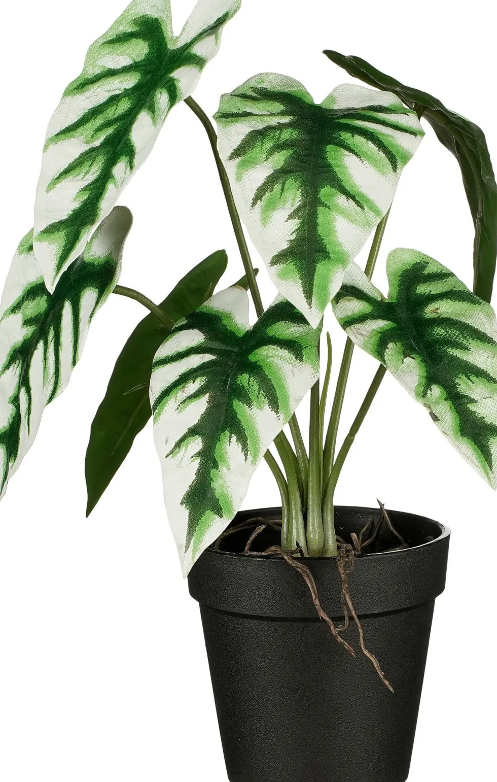 Intratuin kunstplant Olifantsoor groen / wit H 27 cm