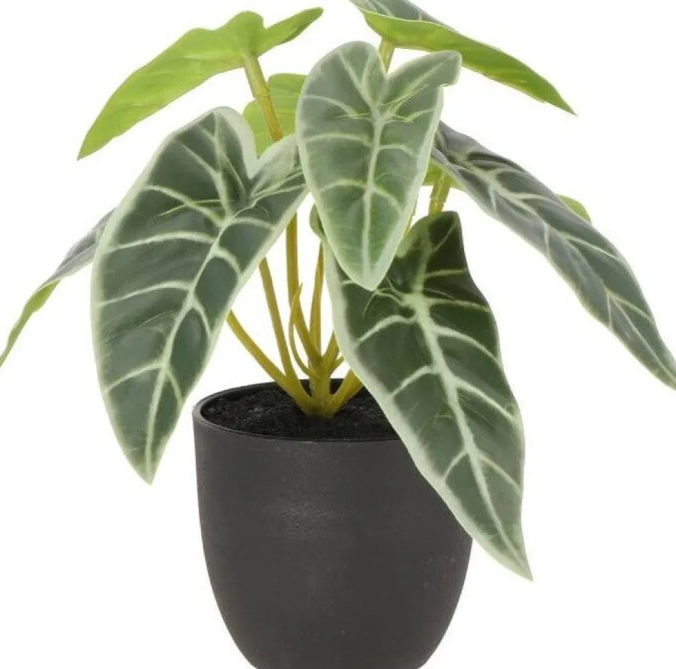 Intratuin kunstplant Olifantsoor lichtgroen D 7 H 16 cm