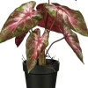 Intratuin kunstplant Olifantsoor rood H 27 cm