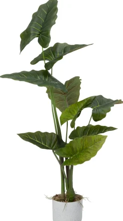 Intratuin kunstplant Olifantsoor H 95 cm