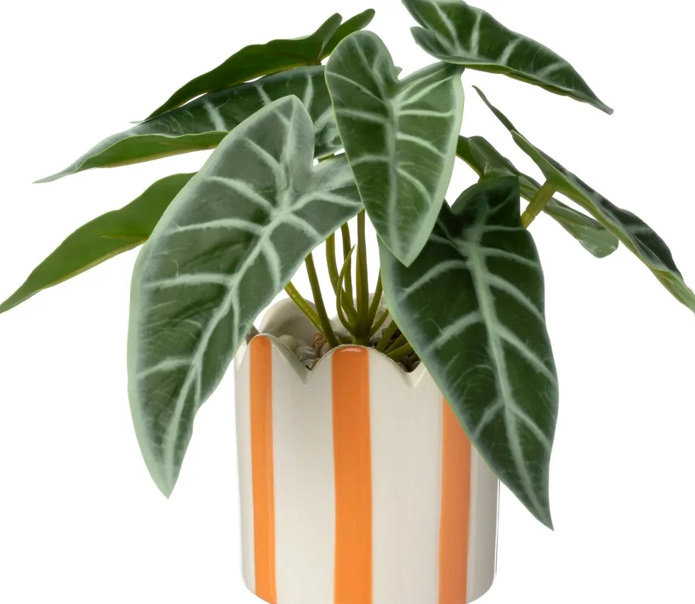 Intratuin kunstplant Olifantsoor oranje D 7,5 H 16 cm