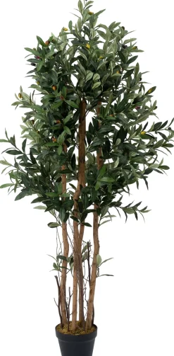 Intratuin kunstplant Olijfboom D 18 H 149 cm