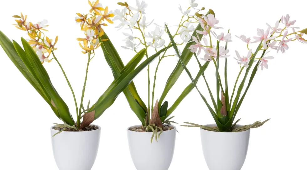 Intratuin kunstplant Orchidee geel D 10 H 37 cm