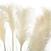 Intratuin kunstplant Pampusgras beige H 80 cm