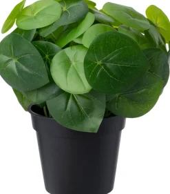 Intratuin kunstplant Pannenkoekenplant D 12,9 H 26 cm