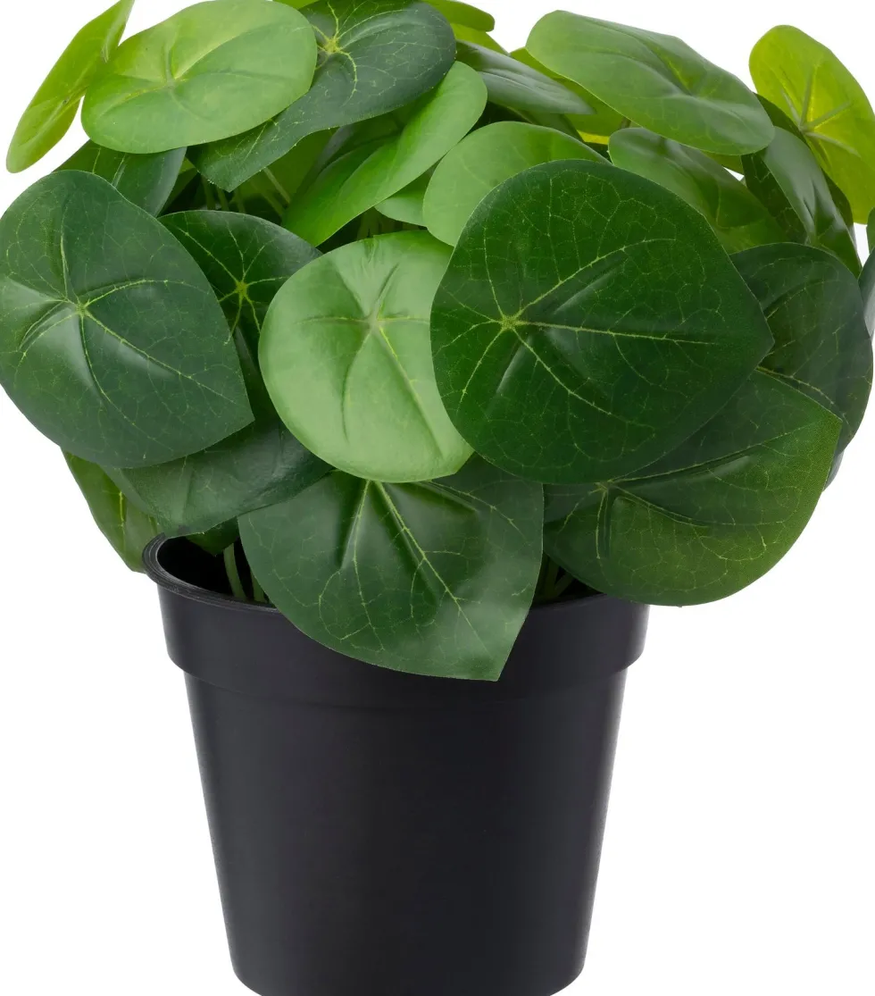 Intratuin kunstplant Pannenkoekenplant D 12,9 H 26 cm