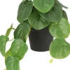 Intratuin kunstplant Pannenkoekenplant D 9 H 18 cm