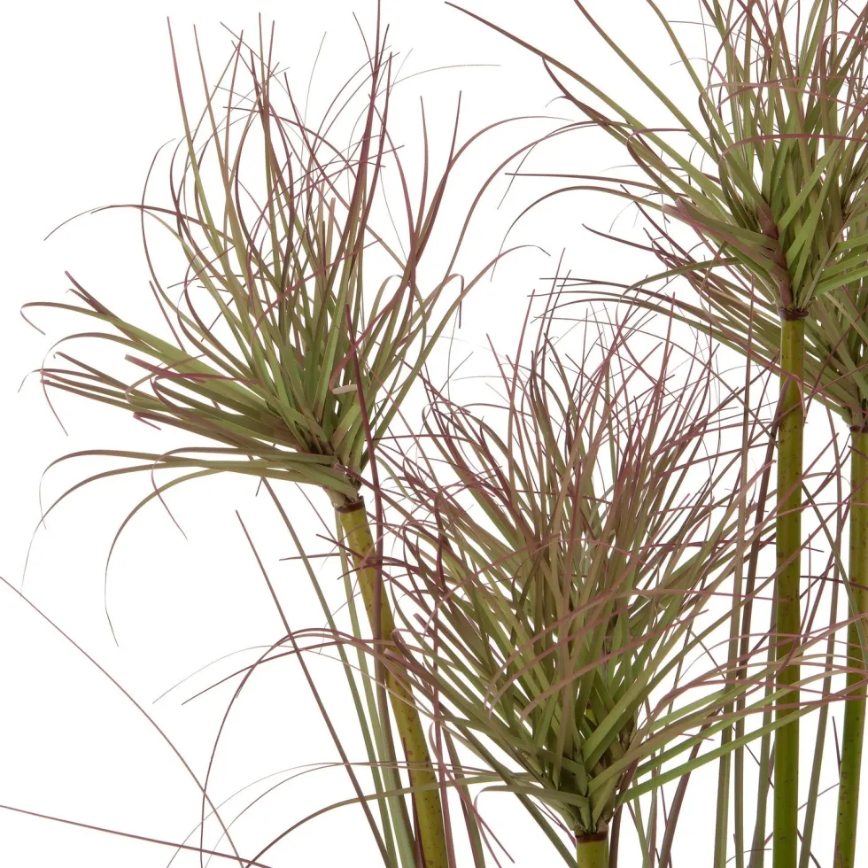 Intratuin kunstplant Papyrus groen / rood D 14,5 H 120 cm