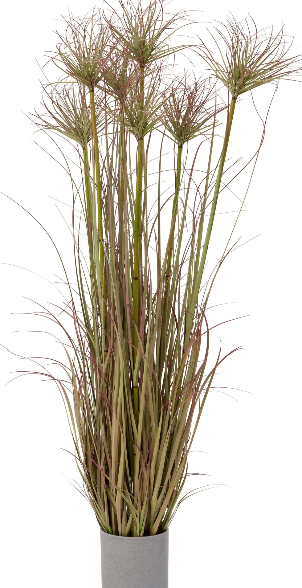 Intratuin kunstplant Papyrus groen / rood D 14,5 H 120 cm