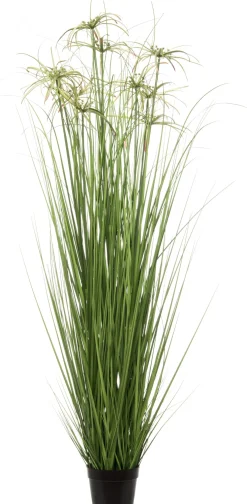 Intratuin kunstplant Papyrus D 50 H 110 cm