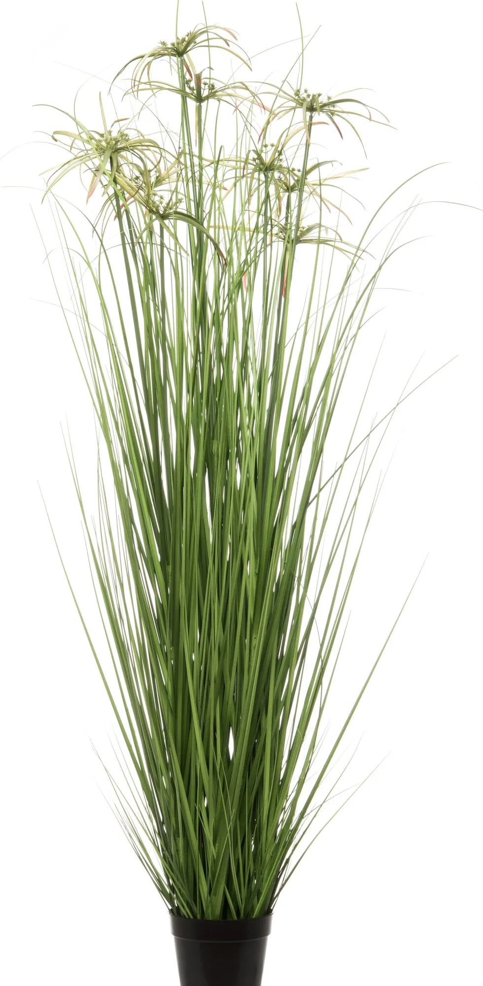 Intratuin kunstplant Papyrus D 50 H 110 cm