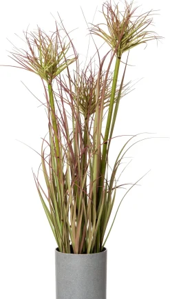 Intratuin kunstplant Papyrus H 65 cm