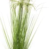 Intratuin kunstplant Papyrus groen H 80 cm