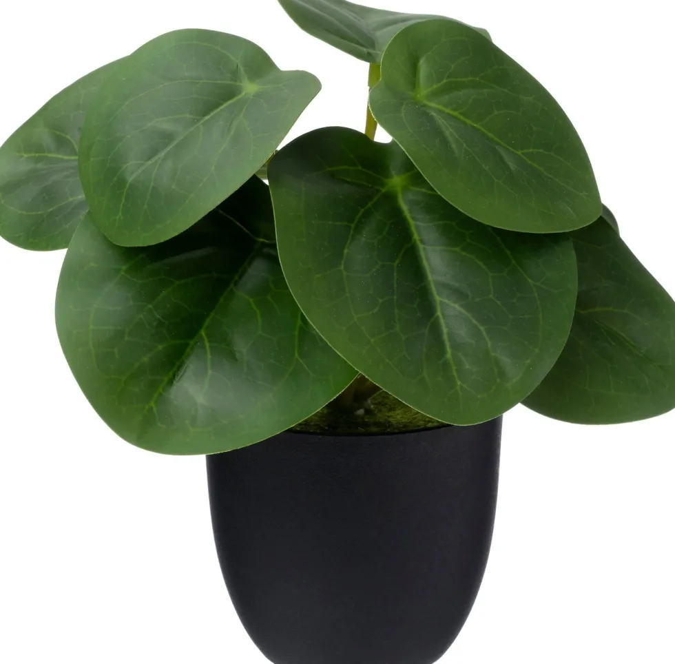 Intratuin kunstplant Peperomia D 7 H 16 cm