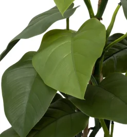 Intratuin kunstplant Philodendron H 40 cm