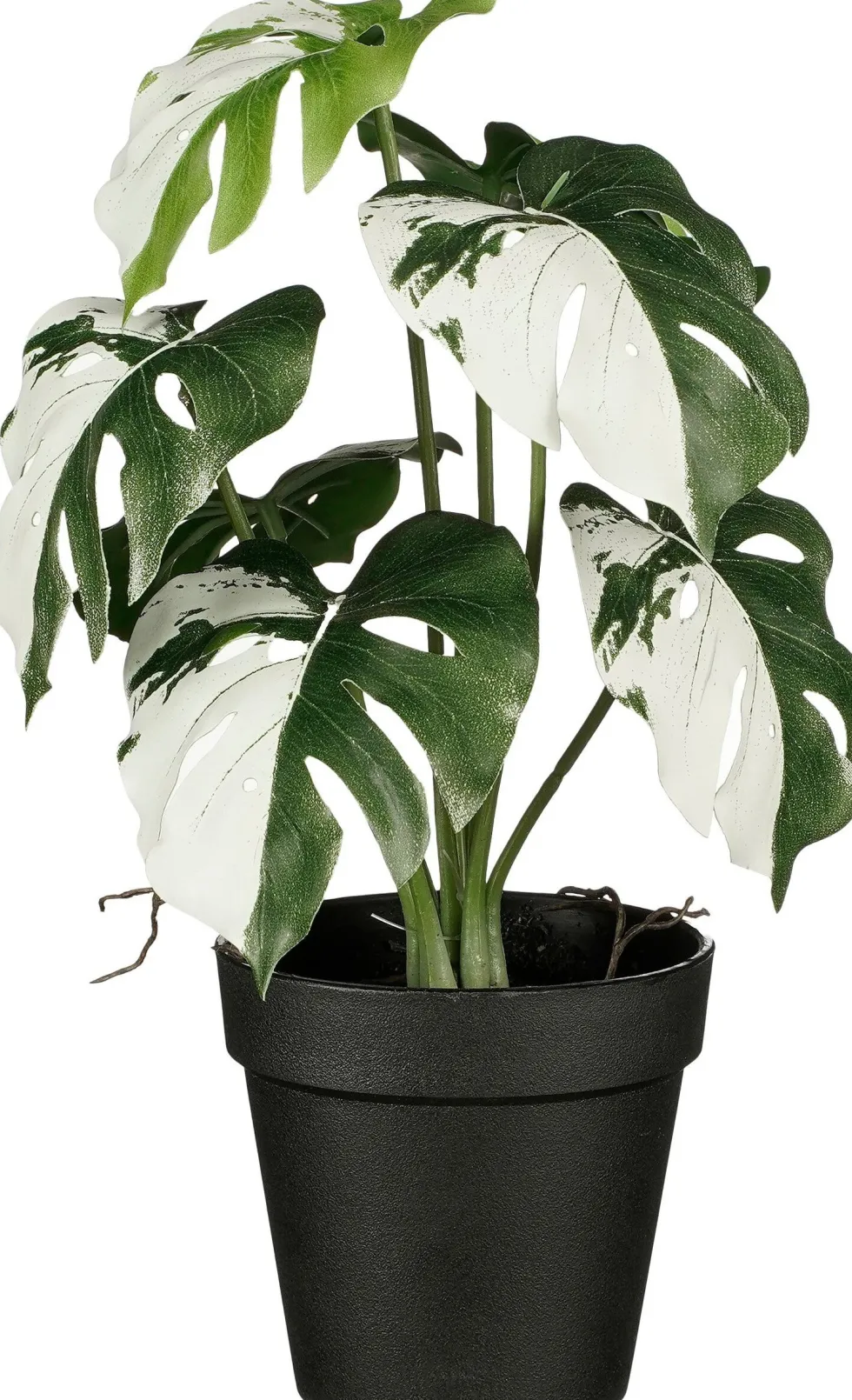 Intratuin kunstplant Philodendron groen / wit H 27 cm