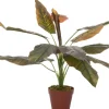 Intratuin kunstplant Philodendron groen / rood H 60 cm