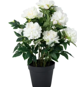 Intratuin kunstplant Pioenroos wit D 20 H 70 cm