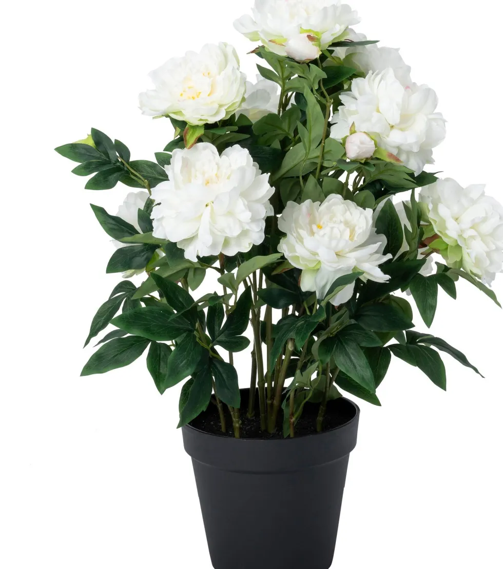Intratuin kunstplant Pioenroos wit D 20 H 70 cm