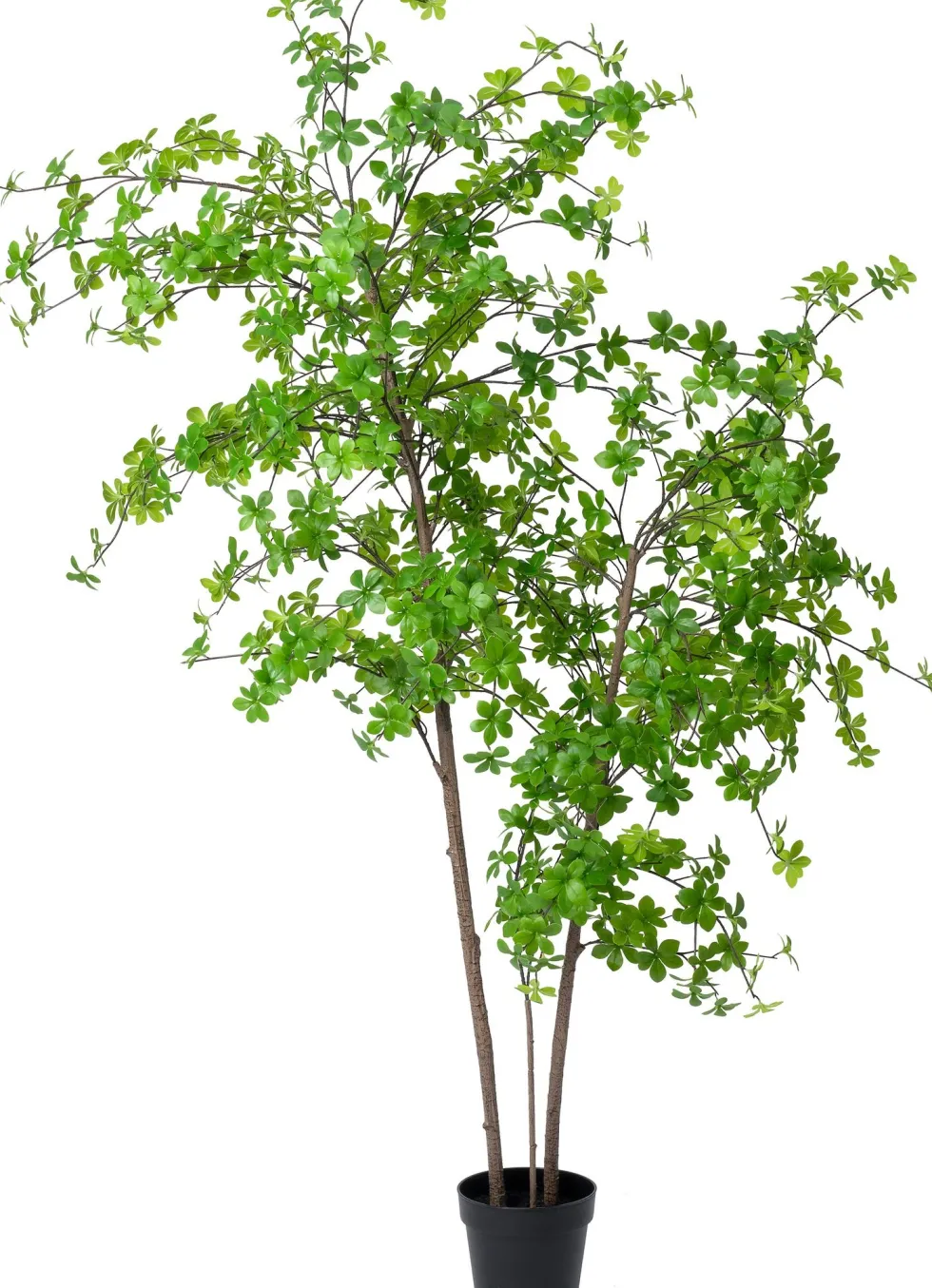 Intratuin kunstplant Pronkklokje D 21 H 175 cm