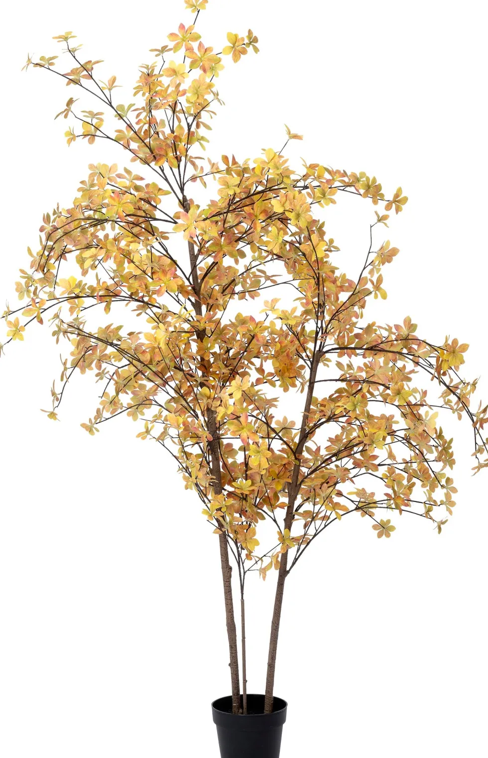 Intratuin kunstplant Pronkklokje bruin D 21 H 175 cm