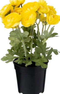 Intratuin kunstplant Ranonkel geel D 11 H 26 cm
