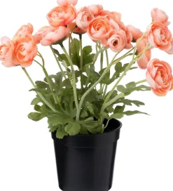 Intratuin kunstplant Ranonkel oranje D 11 H 26 cm