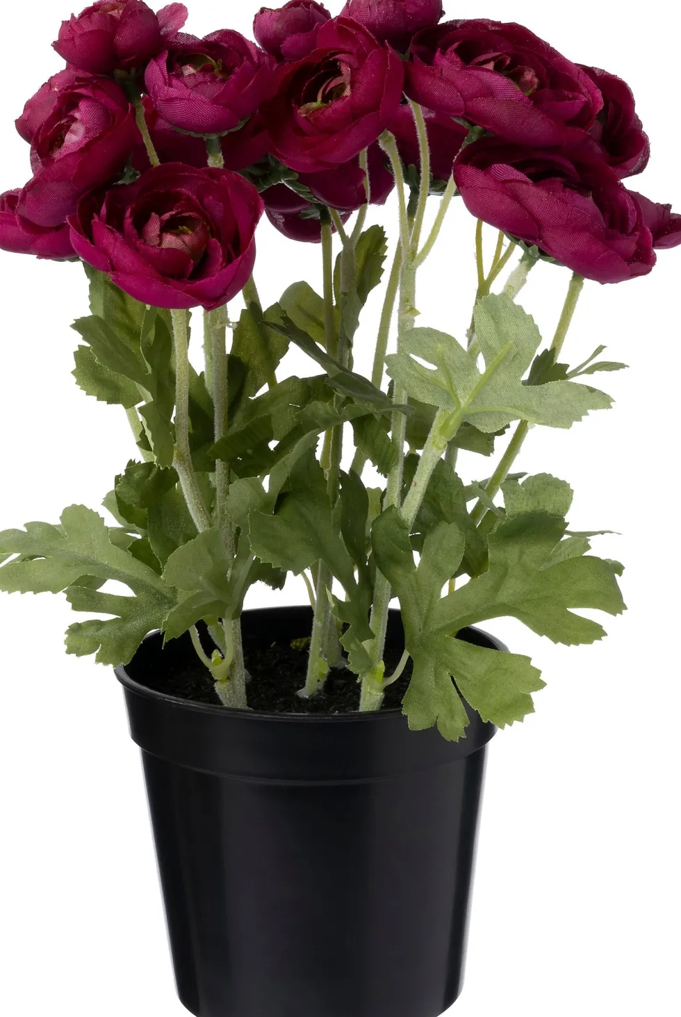 Intratuin kunstplant Ranonkel rood D 11 H 26 cm
