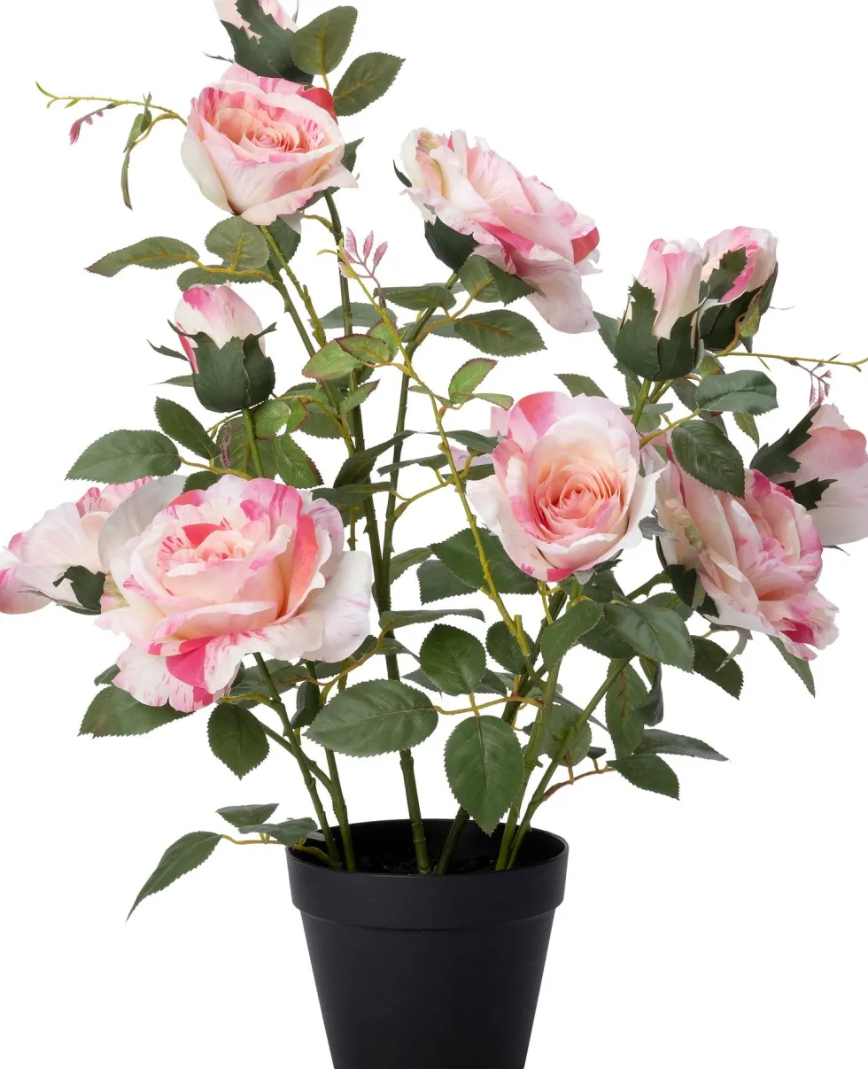 Intratuin kunstplant Roos donkerroze D 15 H 70 cm