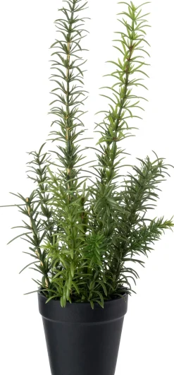 Intratuin kunstplant Rozemarijn paars D 9,5 H 38 cm